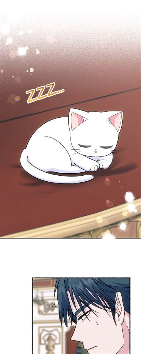 The Possesive Tyrant And His Sleepy Cat .